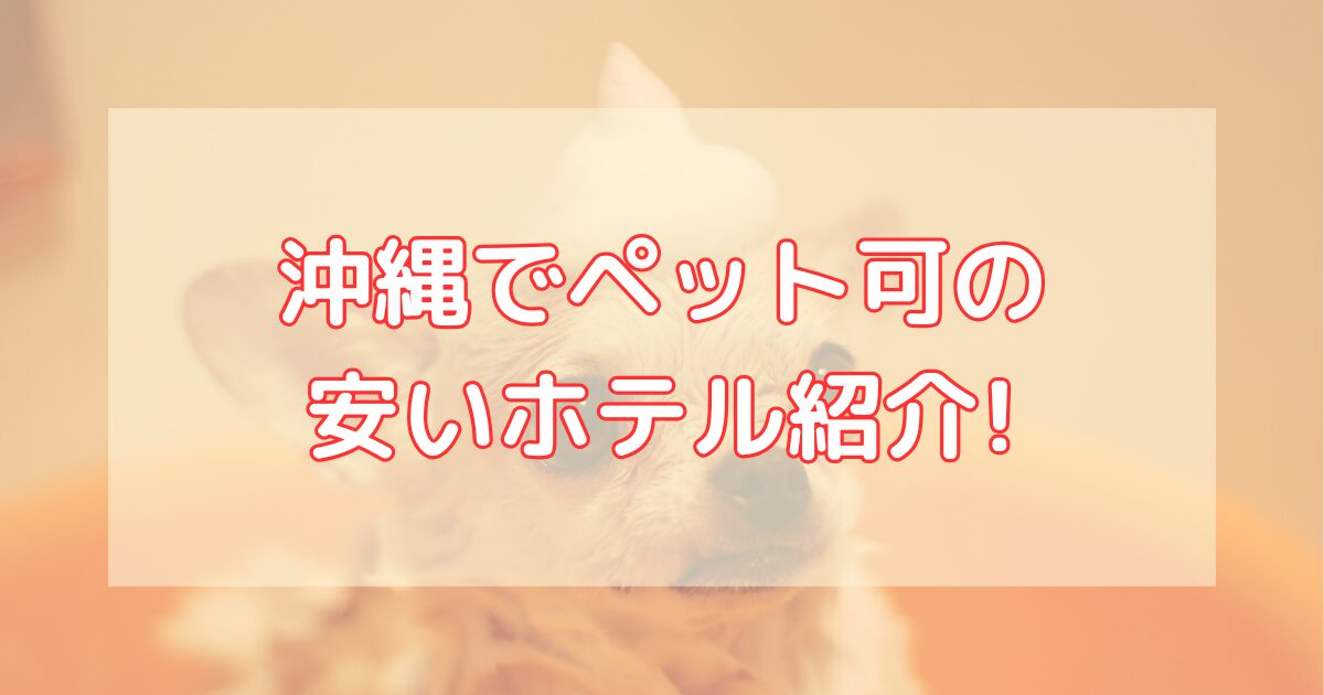 沖縄でペット可の安いホテル6選!