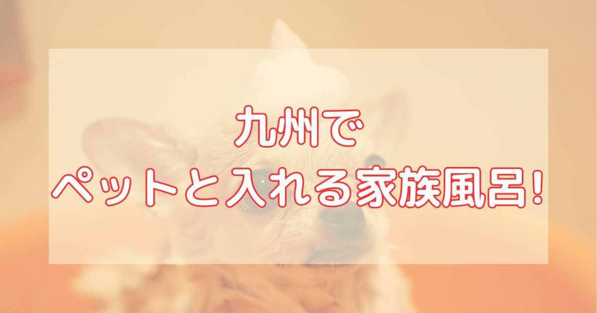 九州でペットと入れる家族風呂